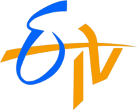 ETV_Telugu advertising agency
